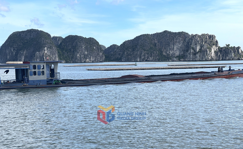 Tại Km10 luồng Cái Tắt, khu vực giáp danh giữa phường Hà An và Tuần Châu, hành lang ATGT đường thủy đang bị xâm phạm bởi hàng chục lồng bè  .