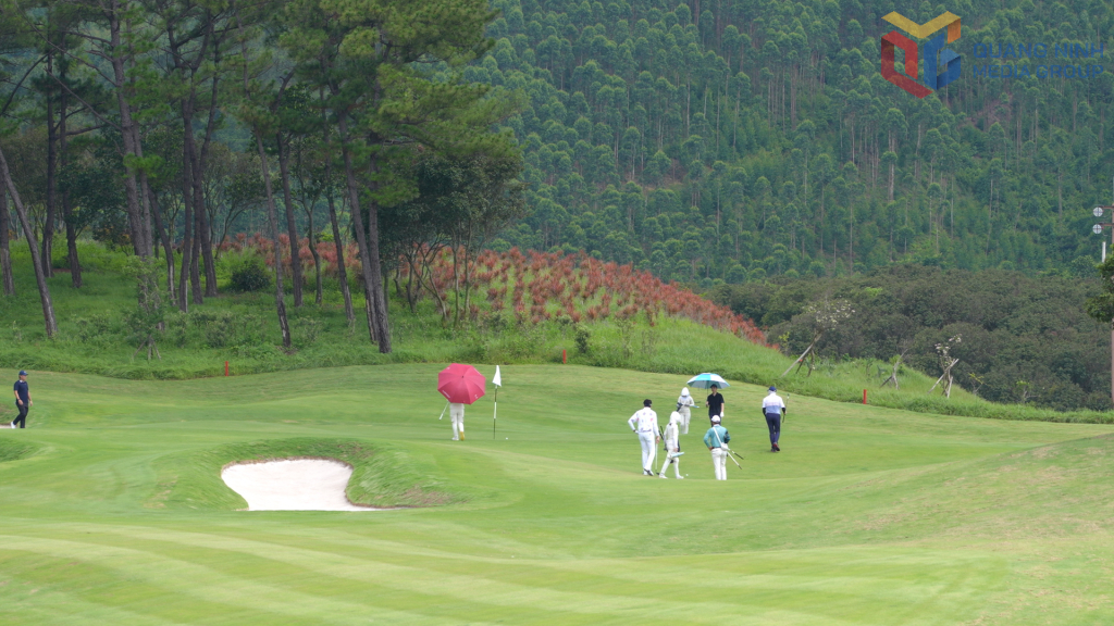 Trung bình mỗi ngày, Sân golf Silk Path Đông Triều đang đón 100 khách đến chơi golf.