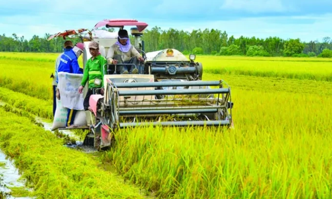 Đưa nông sản Việt vượt bão thuế, hướng tới kim ngạch 65 tỷ USD