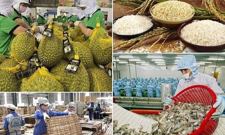 Ban hành kế hoạch đẩy mạnh xuất khẩu nông, lâm, thủy sản năm 2025
