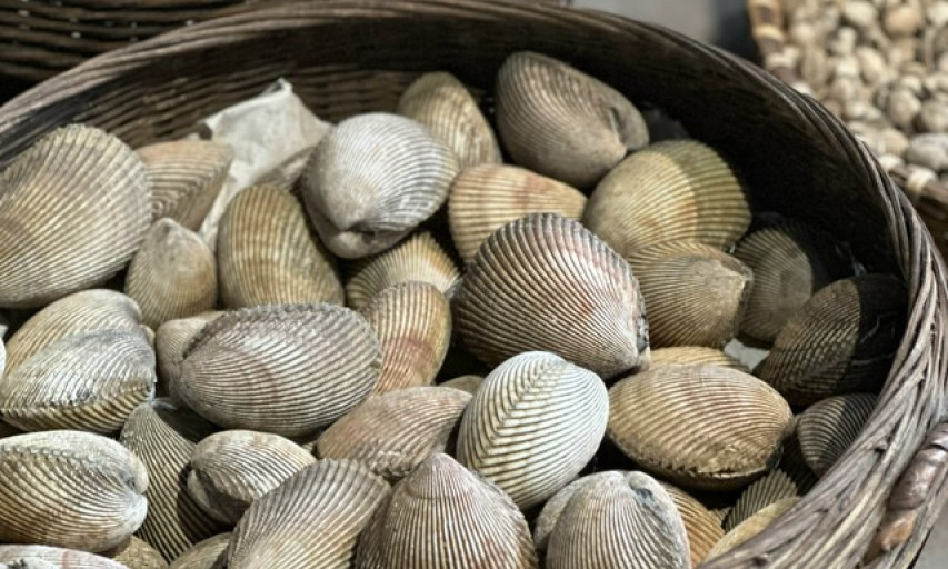 Những nhóm chất 'vàng' cho trẻ tuổi dậy thì
