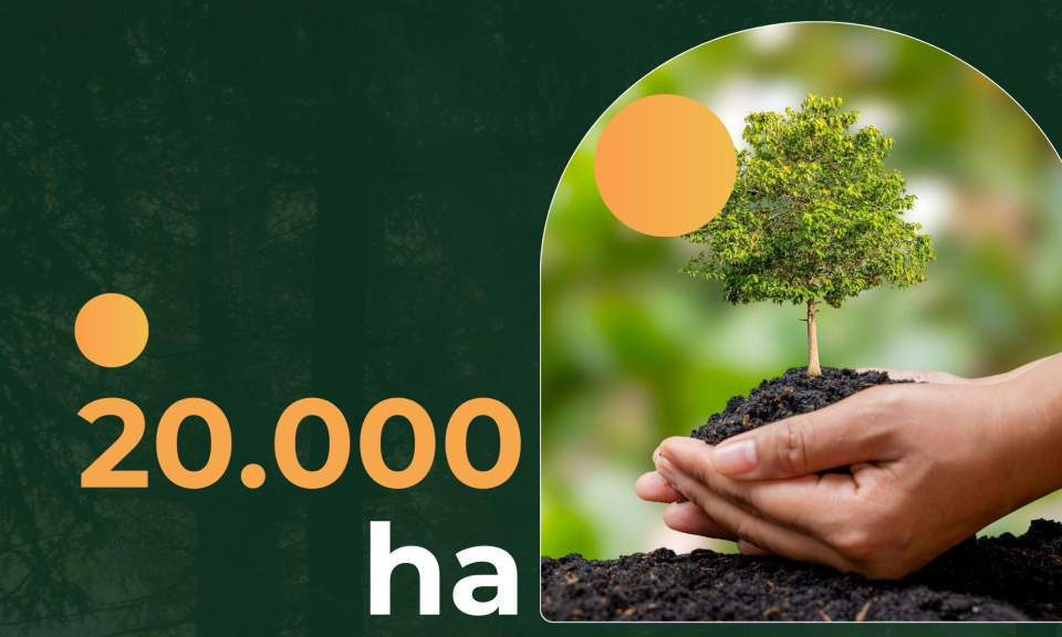 20.000ha - là diện tích rừng sản xuất được cấp chứng chỉ quản lý rừng bền vững FSC