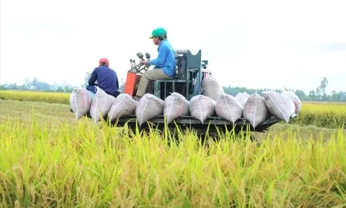 Việt Nam thu về 33,8 tỷ USD từ xuất khẩu nông sản, giao thương với Mỹ tăng mạnh