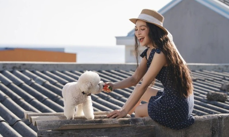 Hiền Thục sẽ 'sống được 200 năm nữa' nếu vẫn có hit Nhật ký của mẹ
