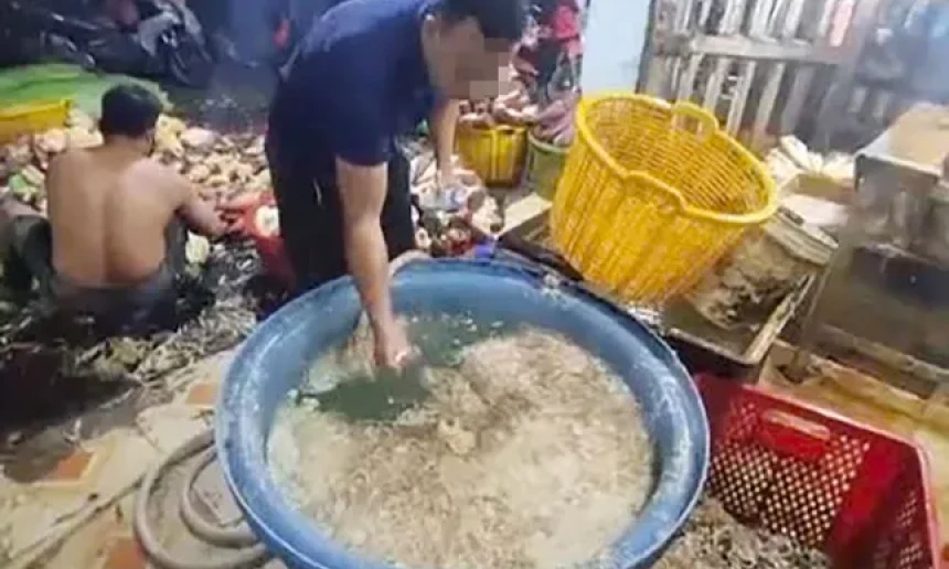 Phát hiện 3 cơ sở ở TPHCM dùng hóa chất để tẩy trắng bắp chuối