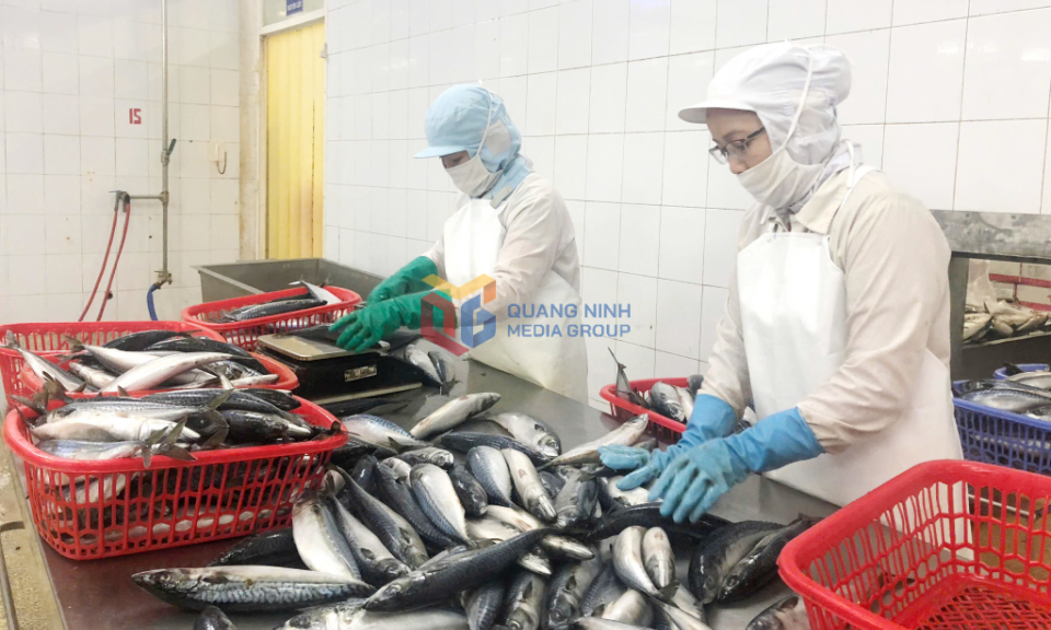 Doanh nghiệp vượt khó, giữ đà xuất khẩu