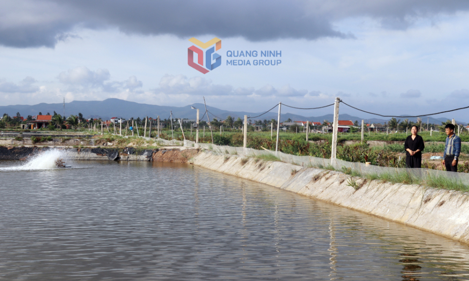 Xây dựng Hà An thành phường văn minh, hiện đại