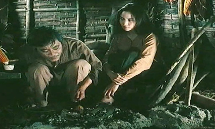 “Cây bạch đàn vô danh” và những ký ức khó quên