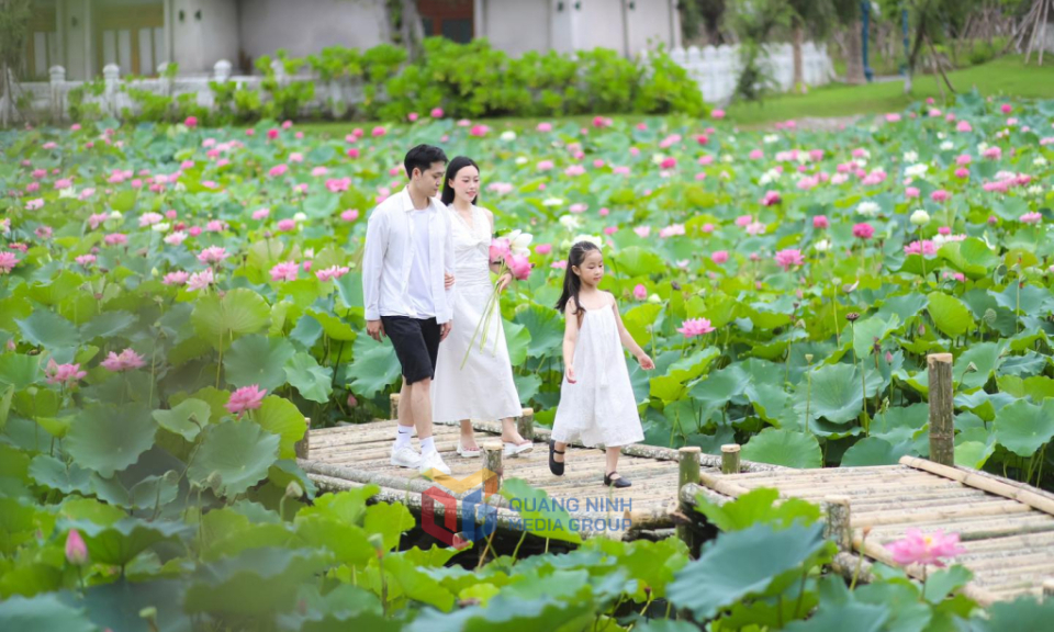 Summer tourism in Quang Ninh: From mountains to sea