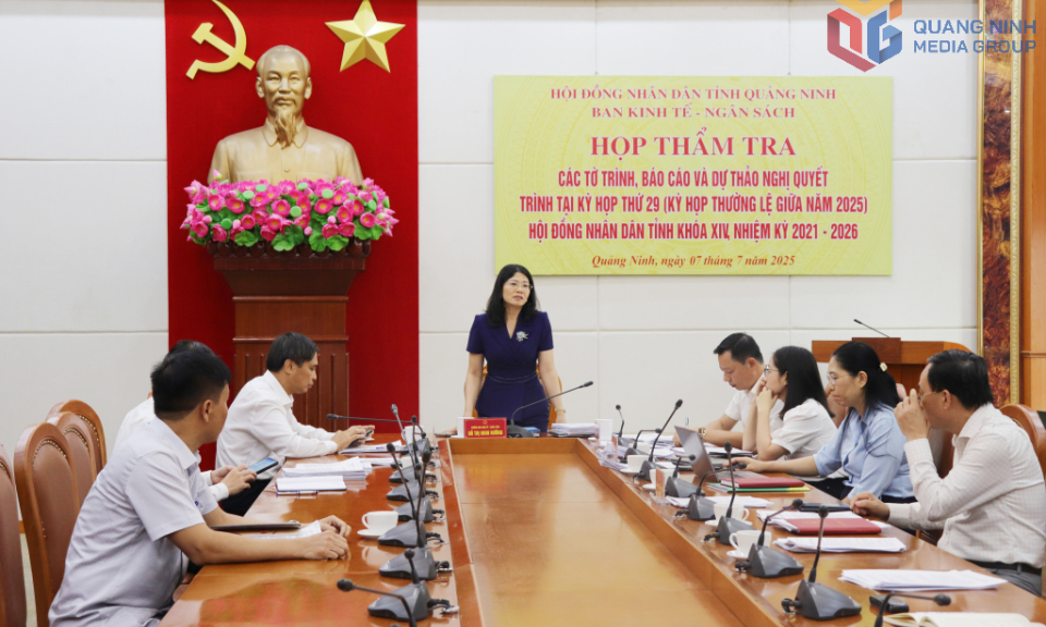 Ban Kinh tế - Ngân sách HĐND tỉnh thẩm tra các tờ trình, báo cáo