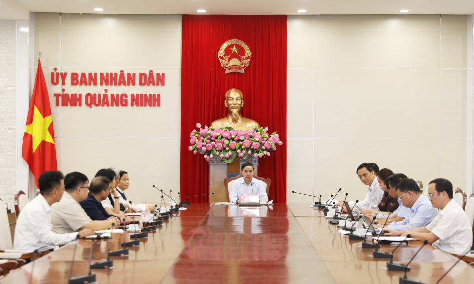 UBND tỉnh nghe ý tưởng đầu tư tổ hợp kinh tế tuần hoàn năng lượng xanh GH2