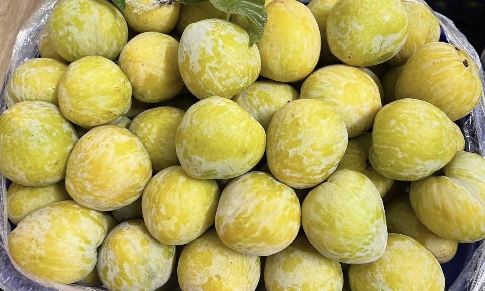 Thêm một loại quả Trung Quốc đổ bộ chợ Việt, giá 450.000 đồng/kg vẫn ‘cháy hàng’