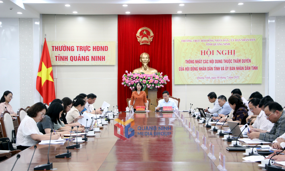 Thống nhất nội dung thuộc thẩm quyền của HĐND tỉnh và UBND tỉnh
