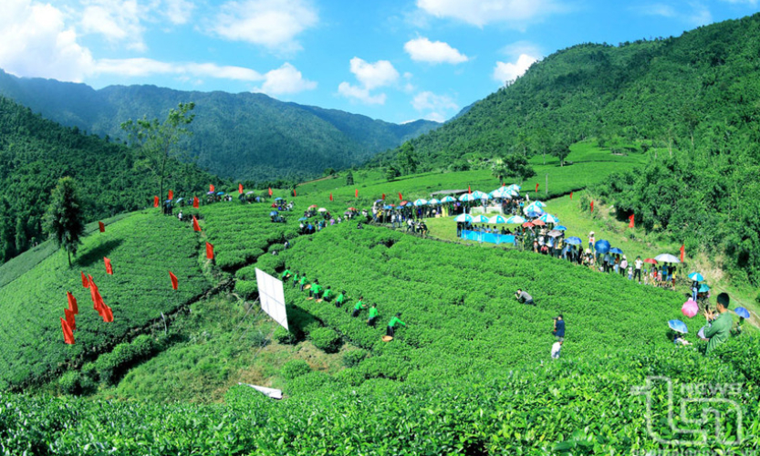 Bản tin vùng Đông Bắc ngày 9/7/2025