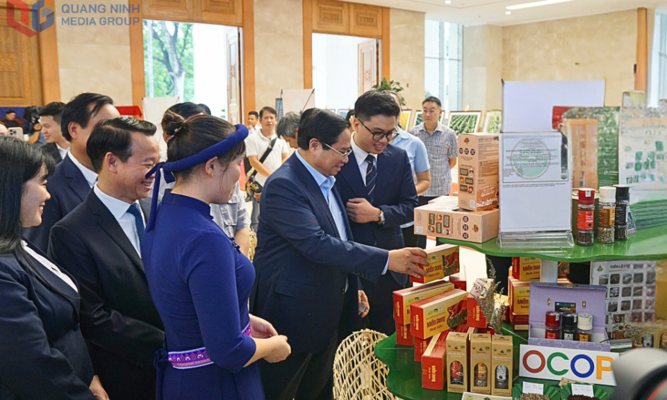 OCOP Quảng Ninh và chiến lược vươn tầm quốc tế