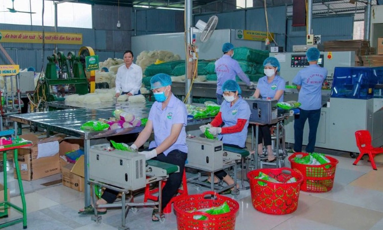 Đầu tư công nghệ chế biến sâu, nâng tầm nông sản Việt Nam
