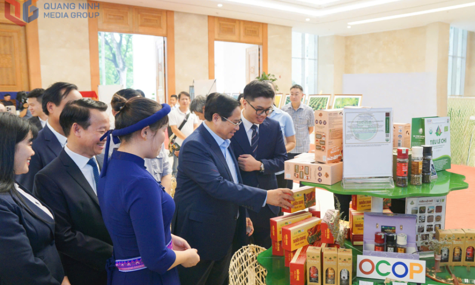广宁平辽葛粉条获得五星级OCOP产品证书