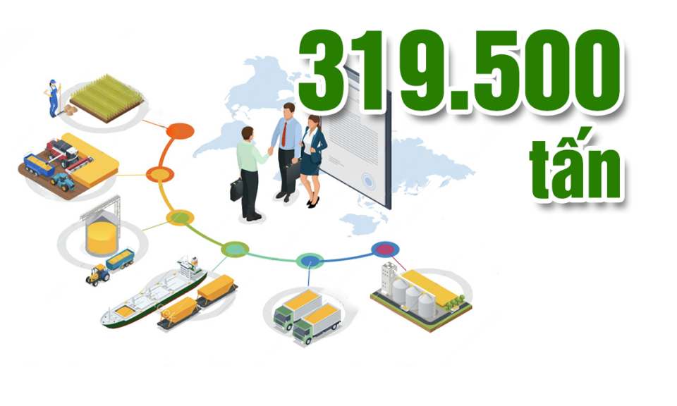 319.500 tấn - là tổng lượng nông sản xuất khẩu qua địa bàn tỉnh 6 tháng đầu năm nay