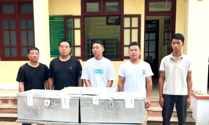 Triệt phá đường dây vận chuyển hơn 2,3 tạ bạc tinh khiết qua biên giới