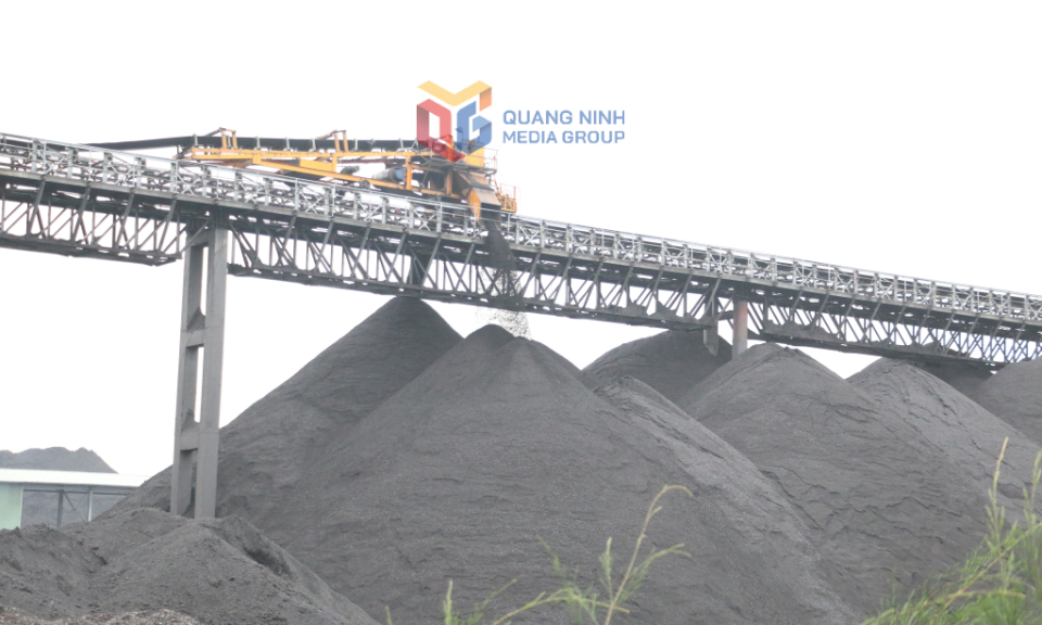 TKV: Giữ vững nhịp độ sản xuất, đảm bảo mục tiêu tăng trưởng