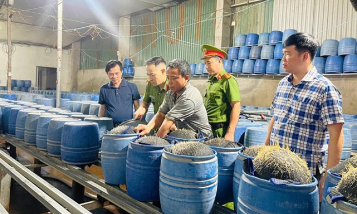 Truy tố cặp vợ chồng dùng hóa chất độc hại sản xuất hàng trăm tấn giá đỗ