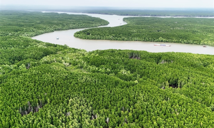 Việt Nam unlocks carbon credit market with legal reforms