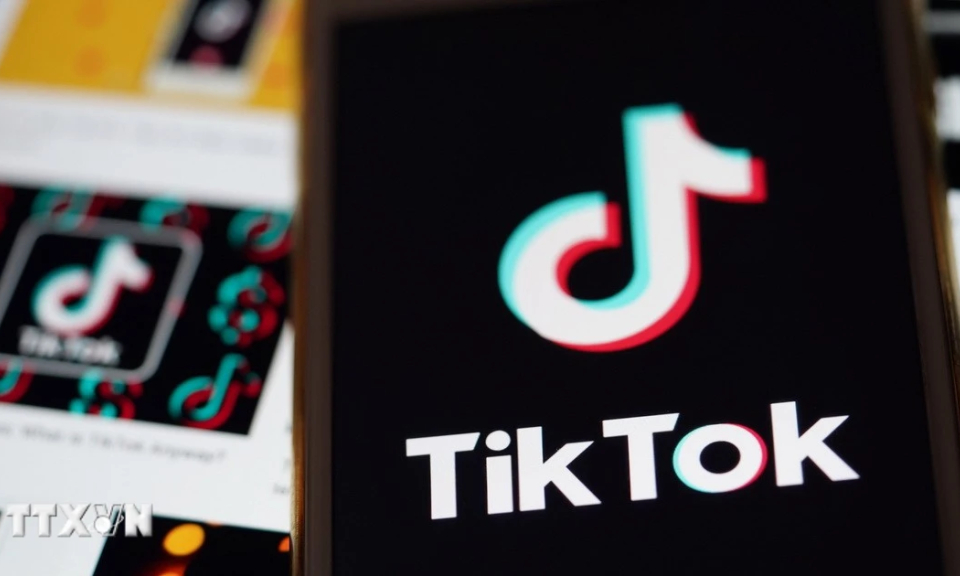 TikTok bị điều tra về lưu trữ dữ liệu người dùng châu Âu