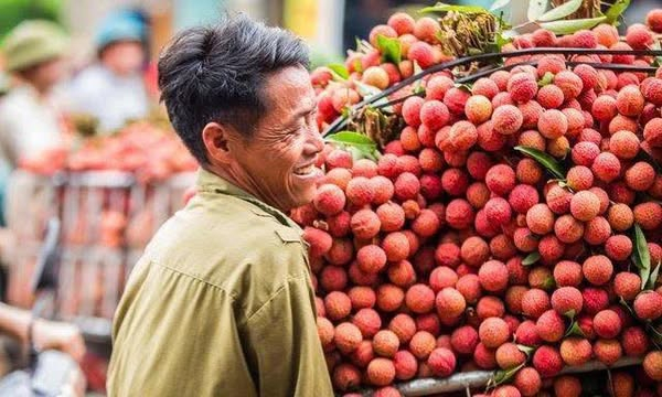 Bản tin vùng Đông Bắc ngày 13/7/2025