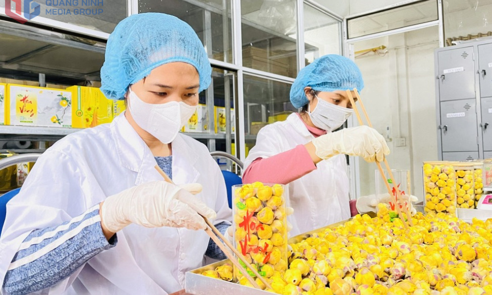 Bứt phá từ khoa học công nghệ