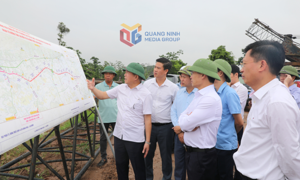 UBND tỉnh: Chủ động, linh hoạt, sâu sát trong chỉ đạo, điều hành