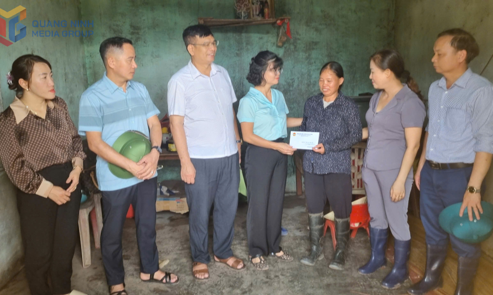 Hội Nông dân tỉnh: Tích cực tham gia các hoạt động an sinh xã hội