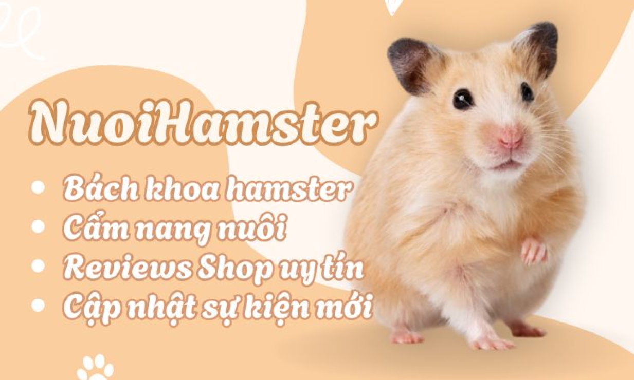 Các cửa hàng bán chuột hamster Đà Nẵng