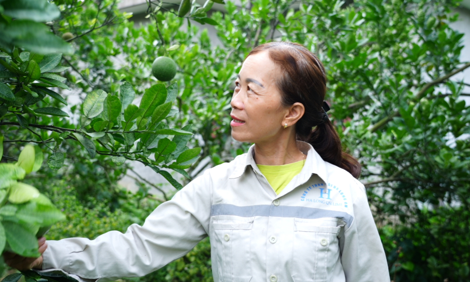 Công khai, minh bạch trong vay vốn chính sách