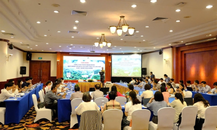 Việt Nam moves to open domestic market for forest carbon credits