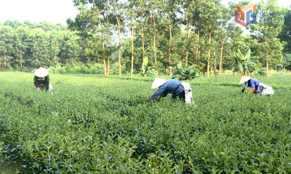 Tạo lập thương hiệu thực phẩm an toàn