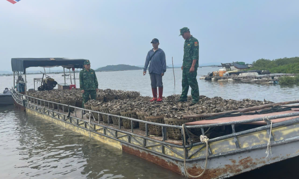  Đồn BP Trà Cổ: Bắt giữ đối tượng vận chuyển trái phép 4 tấn hàu từ Trung Quốc về Việt Nam