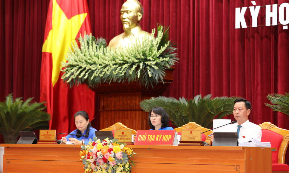Đại biểu HĐND tỉnh thảo luận nhiều nội dung quan trọng