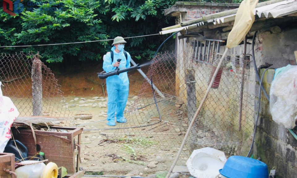 Xã Tiên Yên ghi nhận ca viêm não Nhật Bản B đầu tiên trong năm 2025