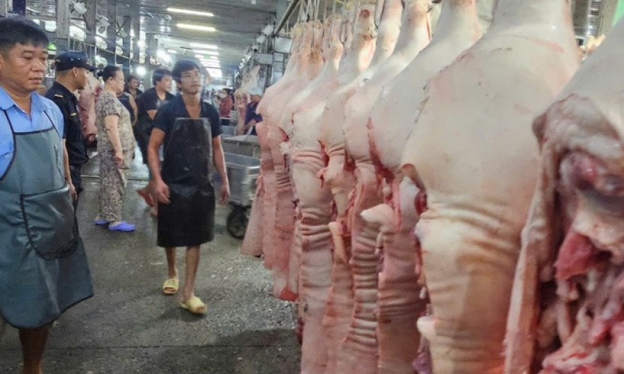 Giá heo liên tục giảm do ảnh hưởng dịch bệnh?