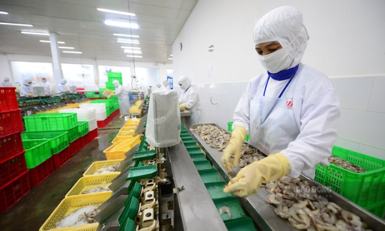 Trung Quốc chi 1,1 tỉ USD nhập thủy sản Việt Nam trong 6 tháng