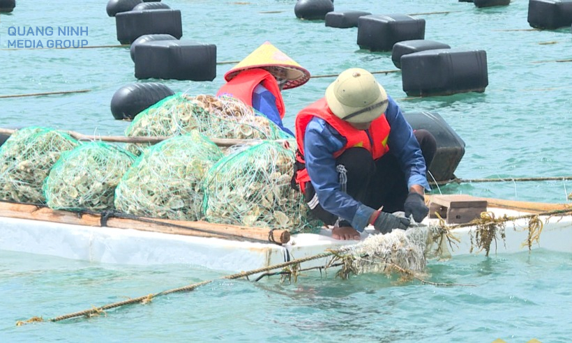 Thủy sản duy trì đà tăng trưởng tích cực