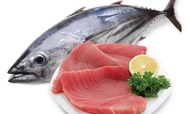 Dịch vụ Xứ Nẫu: Địa chỉ bán Cá Ngừ Đại Dương tuyển chọn, tươi ngon