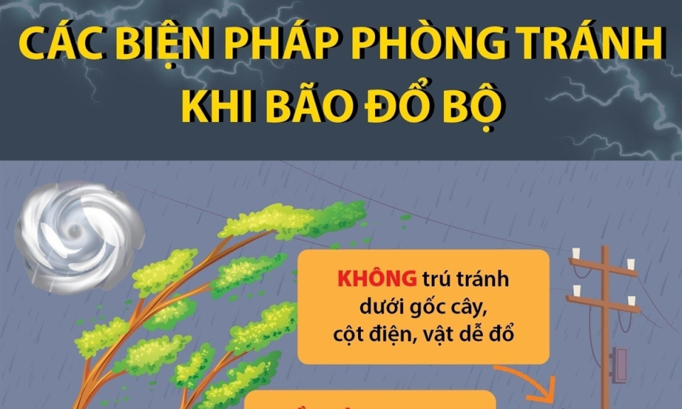 Các biện pháp phòng tránh khi bão đổ bộ