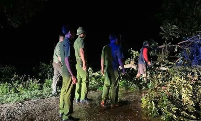 Nghệ An: Cành cây lớn gãy đè người đàn ông tử vong