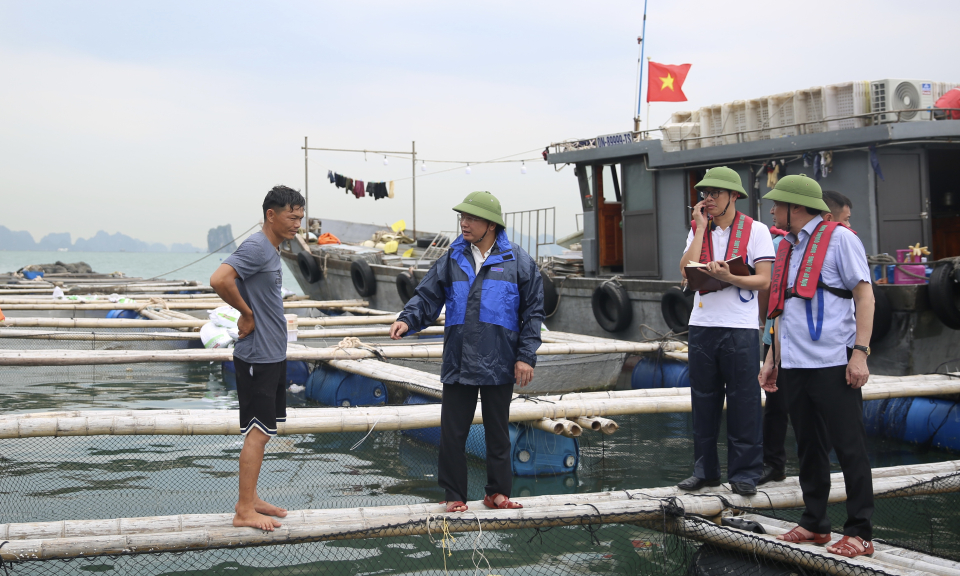 Các địa phương chủ động phương án ứng phó bão số 3