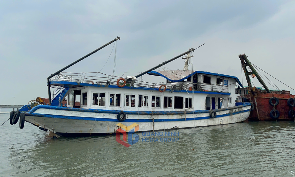 Bản tin Quảng Ninh ngày 20/7/2025