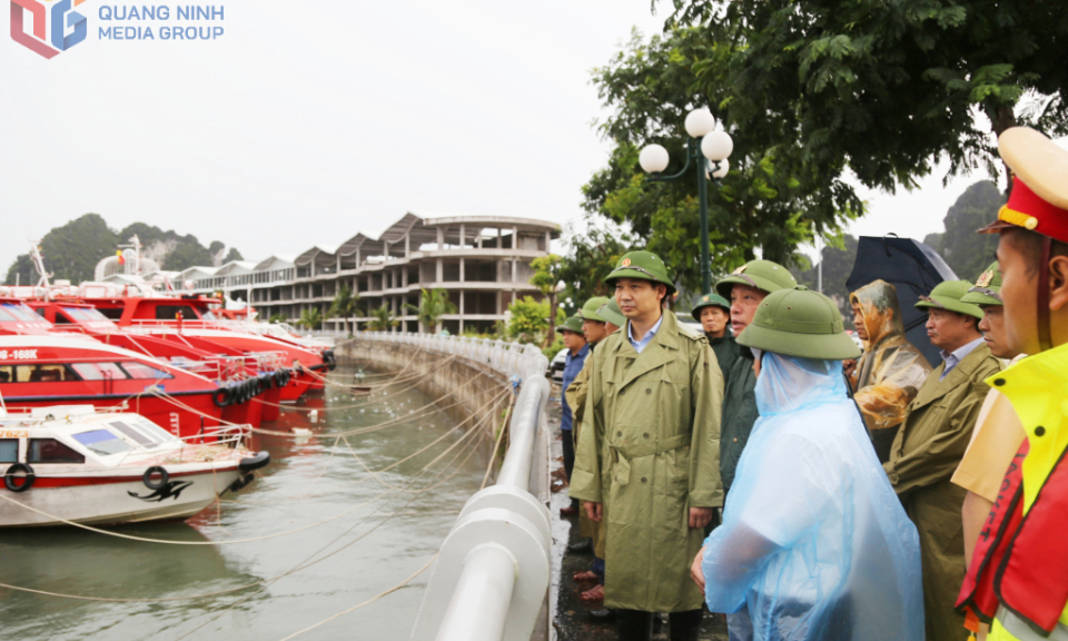 Phó Chủ tịch UBND tỉnh Nguyễn Văn Công kiểm tra công tác phòng, chống bão số 3 tại Vân Đồn và Mông Dương