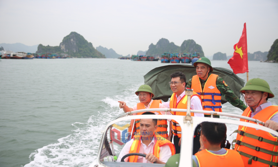 Quang Ninh takes proactive measures to prepare for Typhoon Wipha and post-storm rainfall