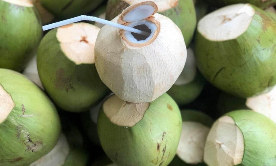 Dừa tươi Việt Nam: Từ đặc sản địa phương đến ngành hàng tỷ USD