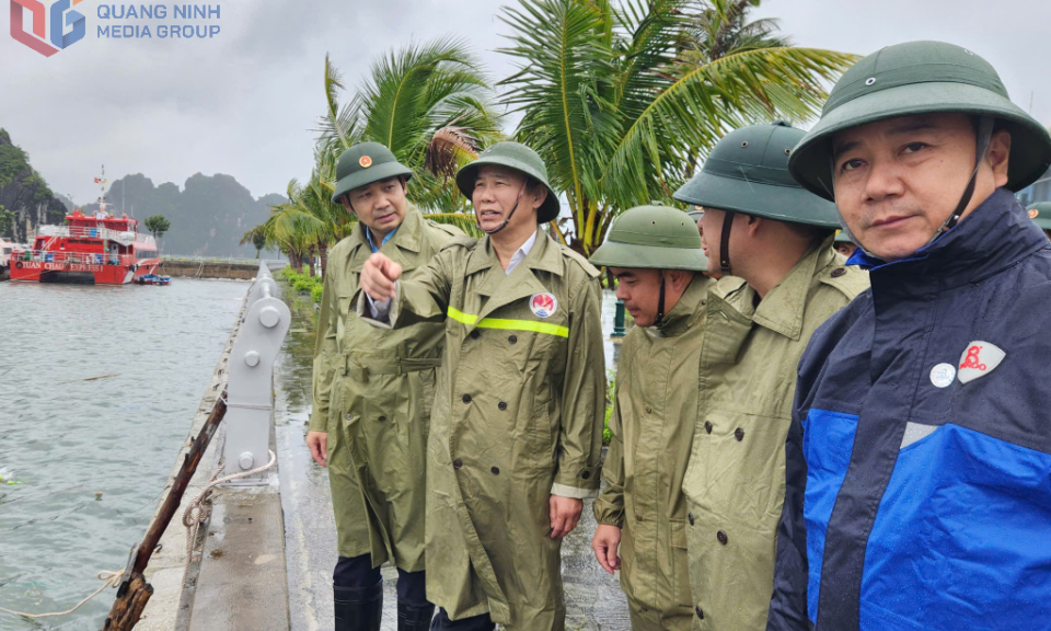 Thứ trưởng Bộ Nông nghiệp và Môi trường kiểm tra công tác phòng, chống bão số 3
